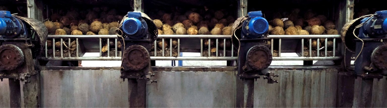 About Us Pt Royal Coconut